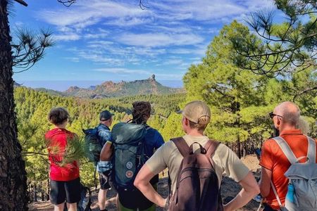 Full day Hiking Gran Canaria Peaks of Gran Canaria