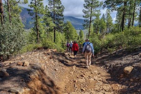 Hiking experience in the north of Gran Canaria