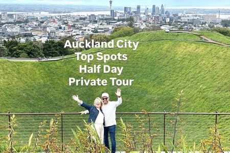 Auckland City Top Spots Half Day Private Tour