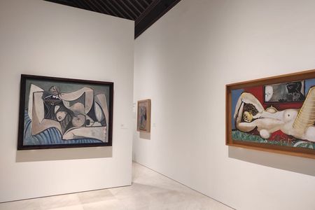 Guided tour without queues Picasso Museum Málaga + Picasso Birthplace