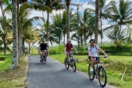 Ubud Wonderful Half Day Downhill Cycling Tour with Lunch