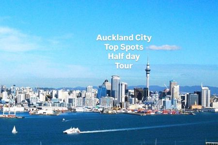 Auckland City Top Spots Half Day Tour(Small Group Tour)
