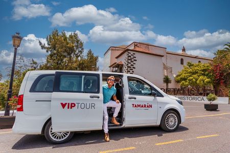 Cheese Tasting and Volcano Caves from North Fuerteventura