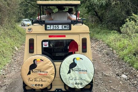 5 Day Serengeti and Ngorongoro Unforgettable Great Safari