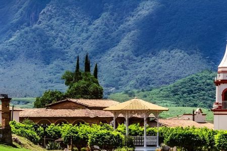 Private Express Charter from Guadalajara (Pet-Friendly)