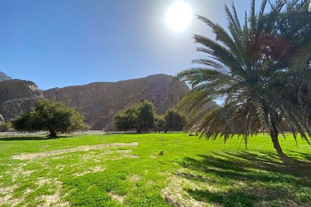 Hidden Oasis Half-Day Guided Hike in Ras Al Khaimah