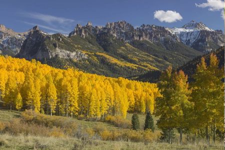 Rocky Mountain National Park Guided Small Group Tour