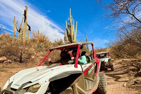 1:30 PM Desert Off-Road UTV Tour, 2 hours, 2 people per vehicle