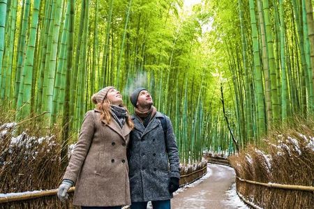 Kyoto: Arashiyama Unveiled – Bamboo, Temple, Matcha, Monkeys