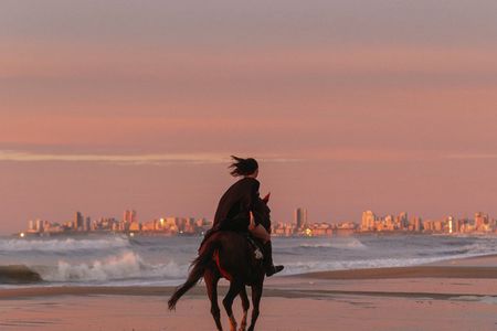 Oceanfront Sunrise Horseback Ride in Mar del Plata