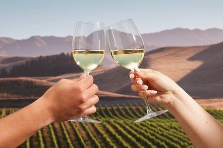 Afternoon of Wine