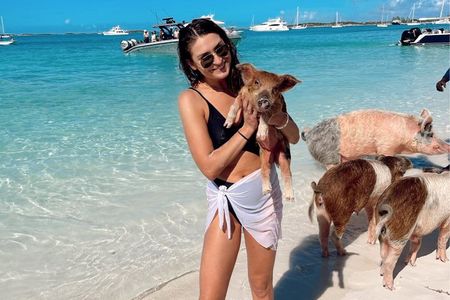 Epic Exuma Escape: Swimming Pigs, Sharks & Beyond | Full Day