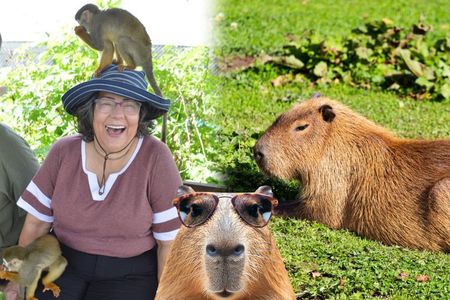 Capybara & Monkey Home Sanctuary Encounter from Puerto Plata