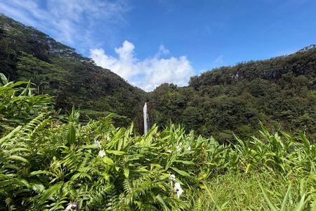 The Pele Express HONU & HILO: Turtles & Waterfalls Tour