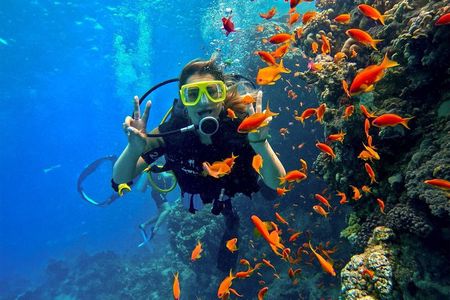 Mirissa Premium Scuba Diving for Beginners and Certified Divers