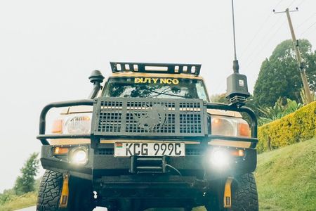 Nairobi National Park Half Day Safari in a 4x4 Vehicle