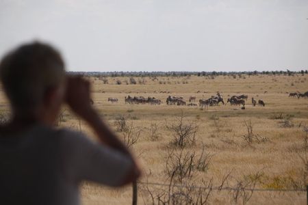 3 Day Private Safari to Tarangire and Ngorongoro from Moshi