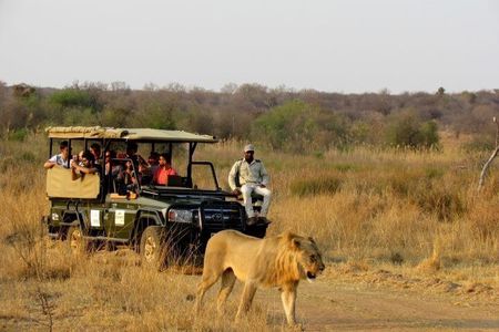 Dinokeng Open Vehicle Game Safaris Trip from Johannesburg