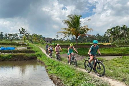 Ubud All-Inclusive Downhill Cycling Private Tour with Volcano