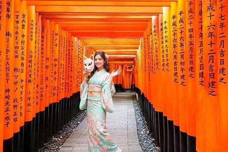 From Kyoto / Osaka: Kyoto Must-see Spots & Nara Park One Day Tour