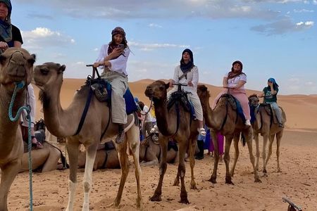 Estepona to Tangier Luxury Private Day Trip All Inclusive Morocco