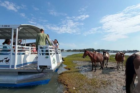 Narrated Tour of Chincoteague, Wild Pony and Nature Cruise