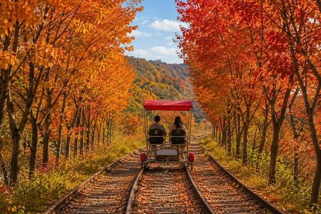 Private Nami Island & Surrounding Attractions Tour
