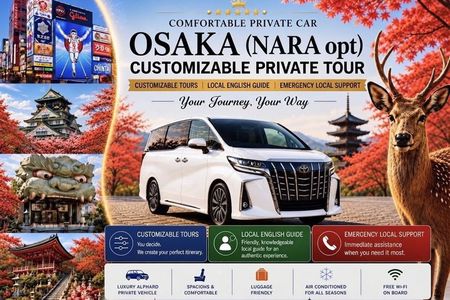 Osaka Customizable Private Tour - Nara opt (Local Licensed Guide)