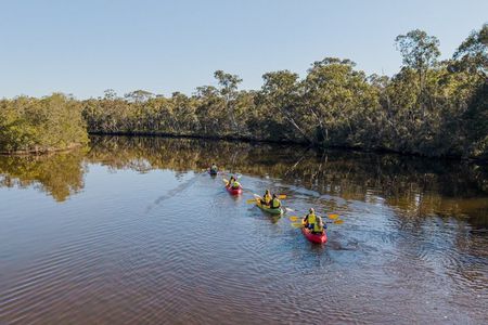 Noosa Everglade Kayak -South/Noosa End - Searching for Stingrays!