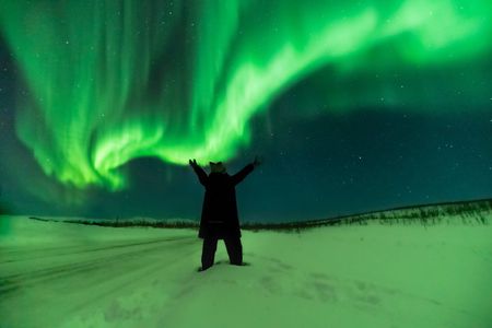 Tromso Cruise Excursion Northern Light Tour with pickup