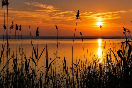 From Valencia Tour to the Albufera of Valencia and Paella