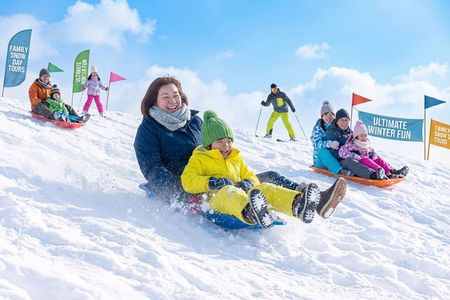 Strawberry Picking, Winter Sled with Eobi Ice Valley from Seoul