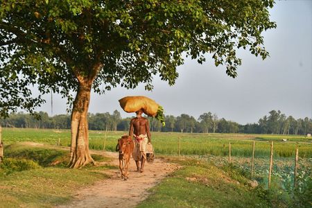 Local Train Journey & Village Life from Delhi