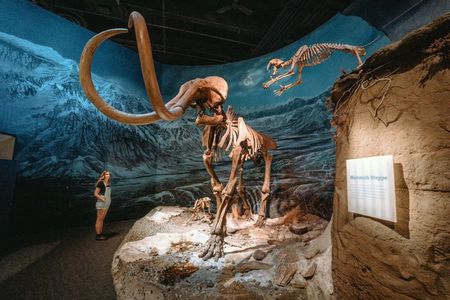 Drumheller with Royal Tyrrell Museum, Dinosaurs & Hoodoos