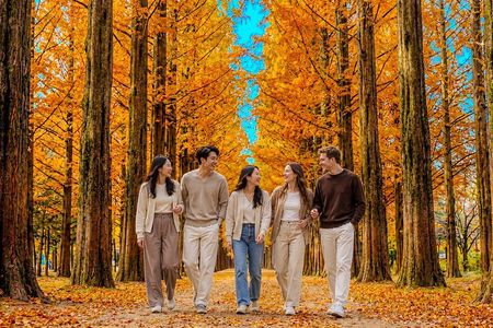 Day Trip to Nami Island with Rail bike and The Garden of Morning Calm