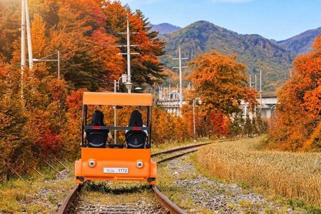 Nami Island Trip with Petite France & Italian Village and Gangchon Rail Bike