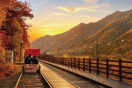 Seoul Vicinity 5 in 1: Nami Island, Garden of Morning Calm & More