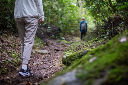 Hakone Zen Walking Tour Following 1,000 Years of Footsteps