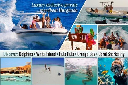 Luxury Private Speedboat to Dolphin House| 3 Islands| Snorkeling