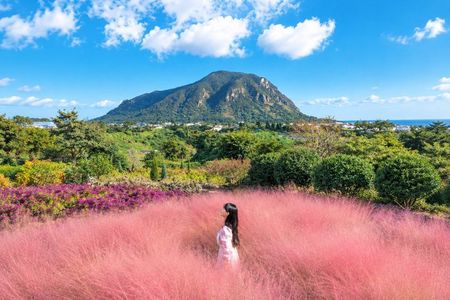 Jeju Private Taxi Tour with English Speaking Guide & Driver