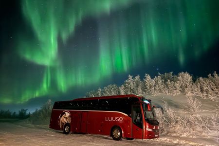 Northern Lights Chase in Alta, Norway with Local Guide