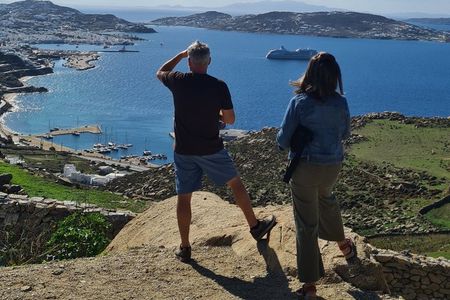 The Original Mykonos Private Tour with a Local