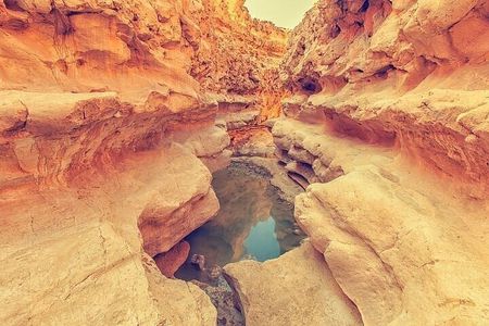 Unusual Day Tour To Wadi Degla Protectorate In Cairo