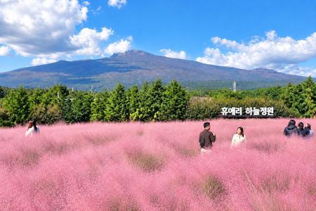 Jeju South-West UNESCO Tour & Hallasan