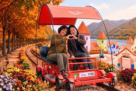 Nami Island, Petite France with Rail Bike Day Tour From Seoul