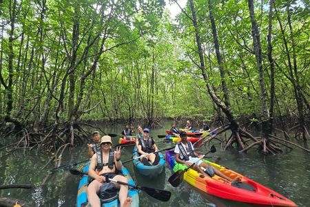 Langkawi : Kilim Geoforest Park Mangrove Kayak Tour with Lunch