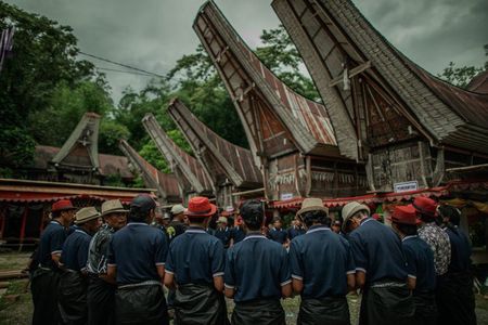 Culture Tours 3 Days 2 Night Toraja