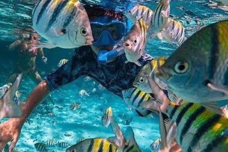 Blue Waters & The Soul of East Bali