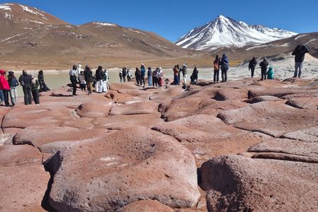 Full Day Tour to Red Stones, High Plains and Chaxa