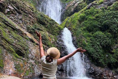 1-Day Nyungwe National Park: Canopy Walk, Zipline & Waterfall